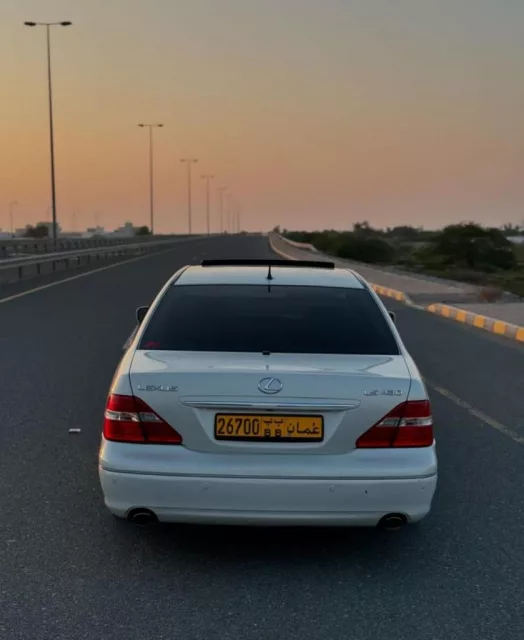 صورة 3