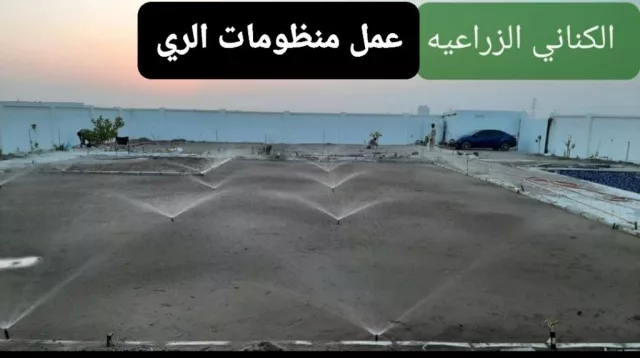 صورة 3