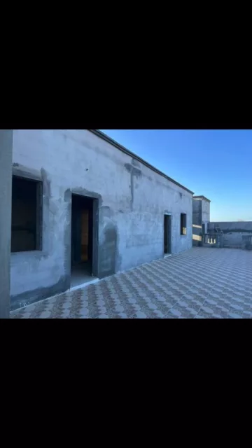صورة 2