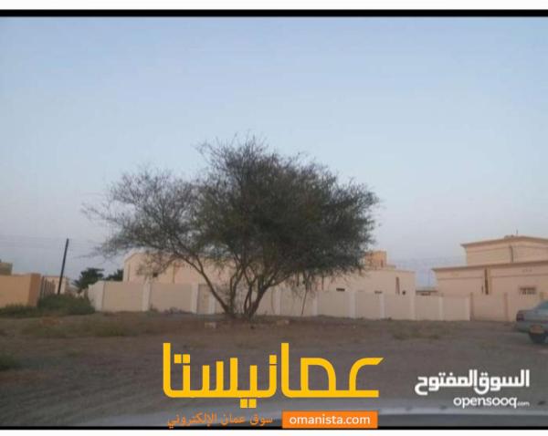 صحار.  العوينات