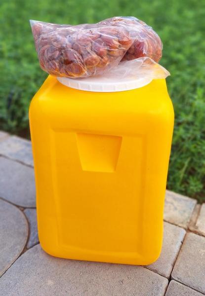 تمر خلاص نظيف