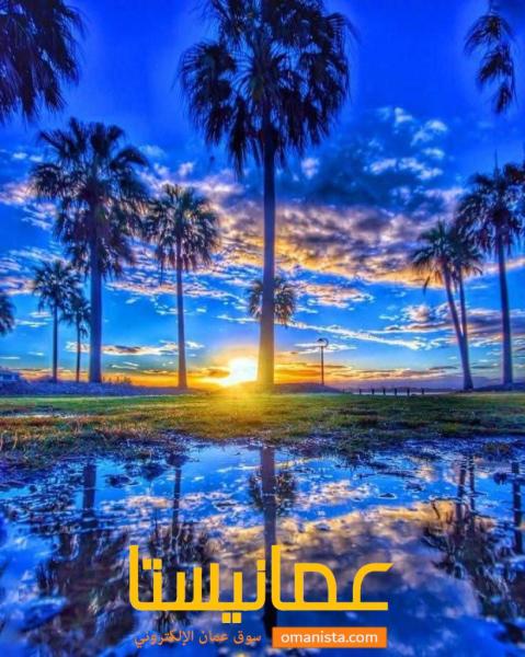 فرصة للبيع أرض سكني تجاري العامرات الحشيه