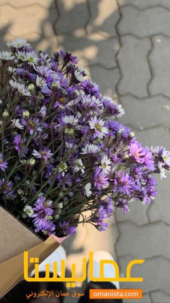 للبيع بنايه ب المعبيلة الصناعية