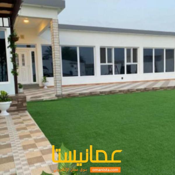 شالية الصوري