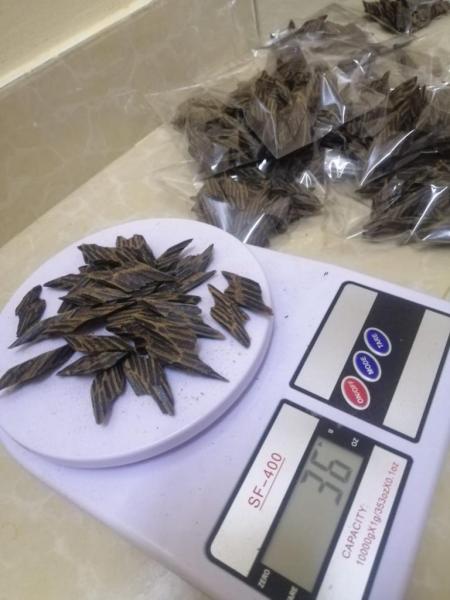 عود تايجر فيتنامي 3 تولات 36 جرام.