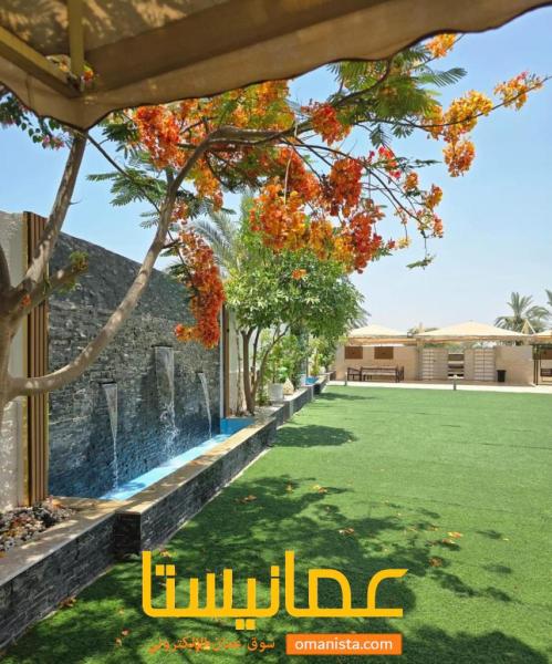 استراحة الفيصل - شناص