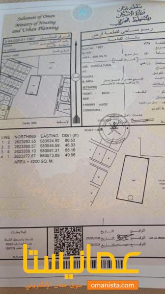 ارض زراعية مميزة في ولاية بركاء منطقة العقدة شمال