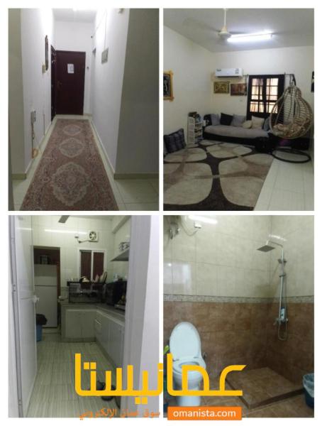 سقه للبيع في العامرات