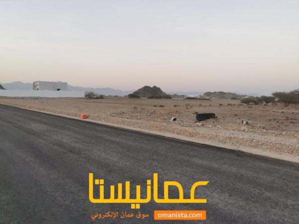 ارضين شبك في الامتداد الاول للبيع