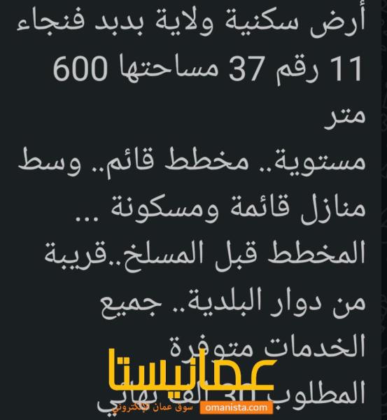 ارض للبيع ولاية بدبد في فنجا 11