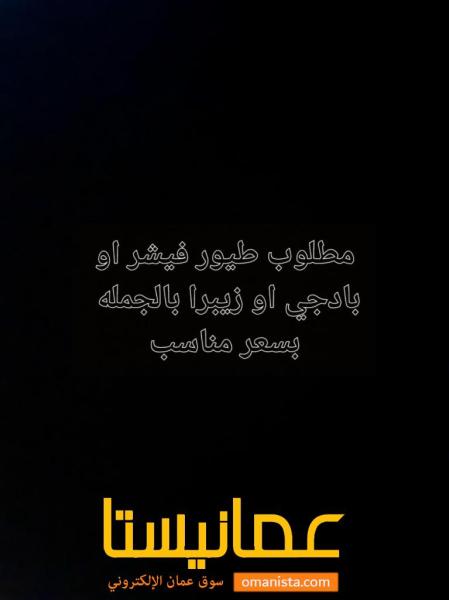مطلوووب فيشر او بادجي او زيبرا