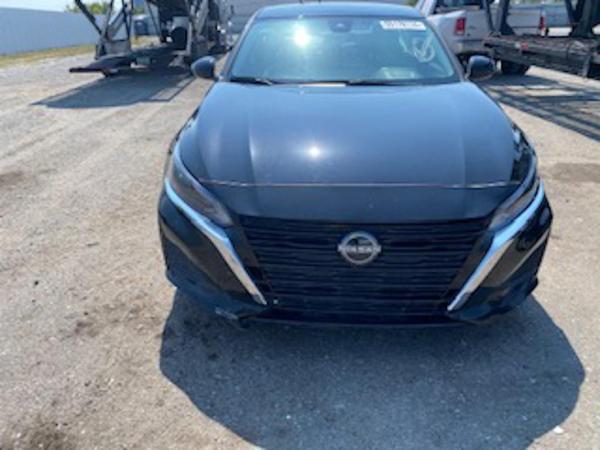 مسقط السيب الشرادة