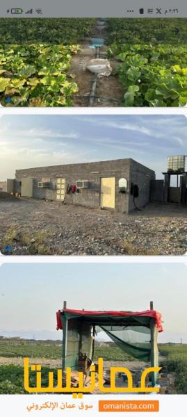 ارض للايجار