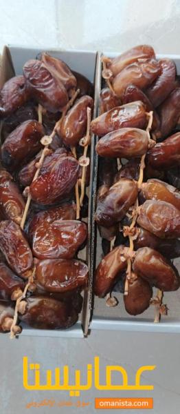 مدرب كره يد