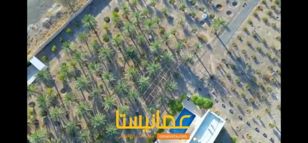 مزرعة نموذجية للبيع