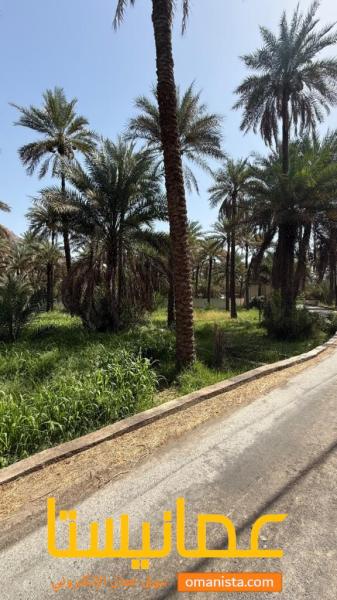 مزرعه للبيع ولاية سمائل سوق السفاله