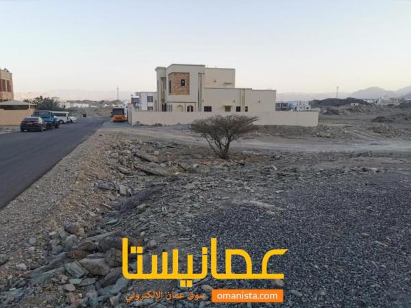 ارض في العامرات للبيع 8/1