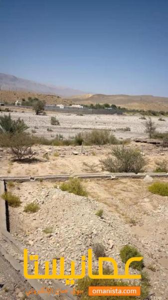 ارض زراعية مميزة في صور مربع الفليج رقم القطعة 208