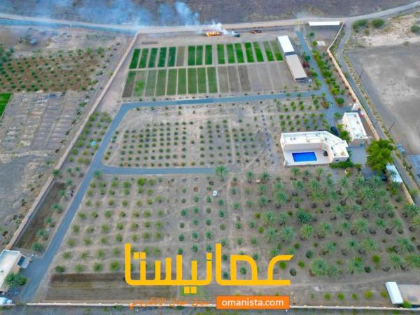 مزرعة فاخرة للبيع في الشويعي ولاية المضيبي