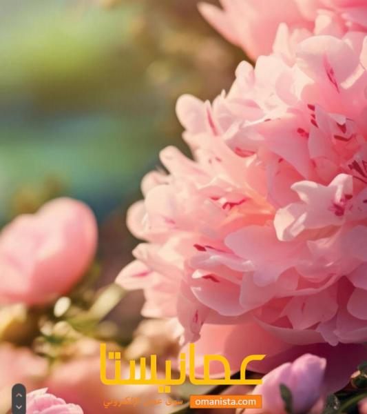 فرصة ذهبية للعمل من المنزل