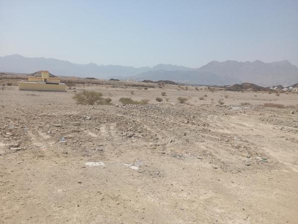 للبيع ارضين شبك سكنية في العلاية العامرات