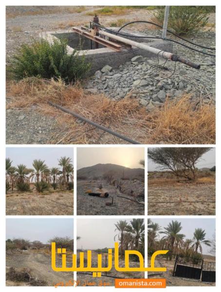 ارض زراعيه مع وحده سكنيه وبئر مشترك