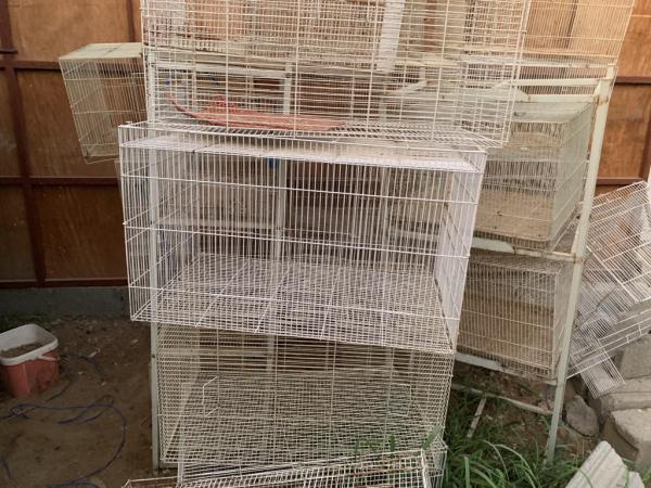 اقفاص محلات الكبير والصغير مع استاند الومينيوم لصغار