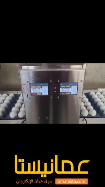 طابعة تاريخ على البيض