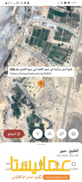 للبيع ارض زراعية جزيرة مفتوحة في صور العفية في مربع الفليج