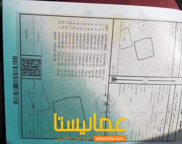 مزرعه للبيع ولاية الكامل مساحة 66166 متر بها بئر مصرح