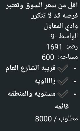 ارض في وادي المعاول للبيع