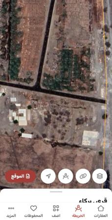 بركاء الرميس