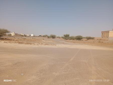 للبيع ارض سكينة في البريمي الغريفة المرحلة A