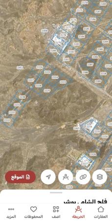 بوشر فلج الشام