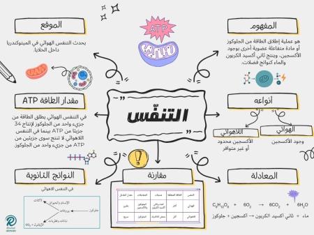 معلم أحياء science and biology