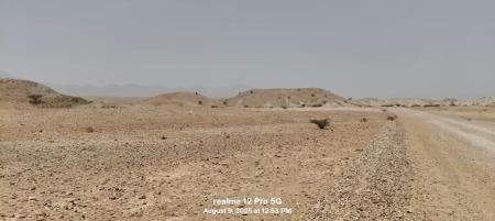 للبيع ارض سكينة في مدينة النهضة مربع 14ع2