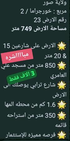 ارض في صور للبيع