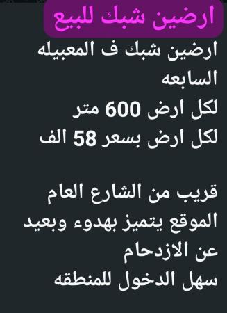 ارضين شبك للبيع في المعبيله السابعه