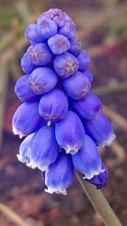 فرصة استثمارية عقارية للبيع أرض سكني تجاري بولاية القابل