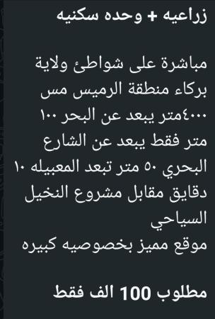 ارض زراعيه للبيع في الرميس مساحة 4 الاف متر