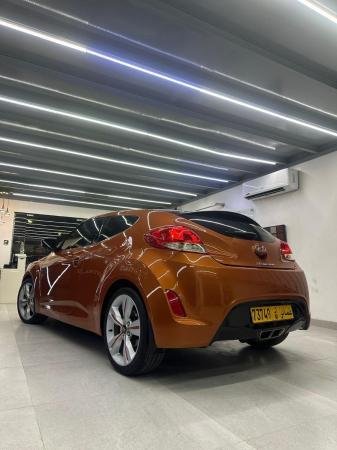 صحار الهمبار٣