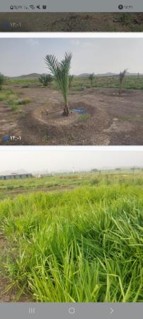 ارض زراعيه مساحه 42000 متر