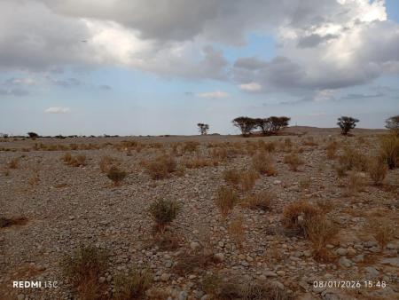 للبيع ارض سكنية في الفليج المعمورة