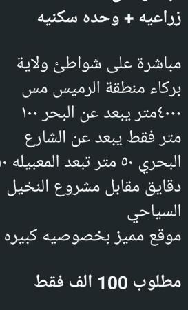 ارض زراعيه وحده سكنيه للبيع في الرميس