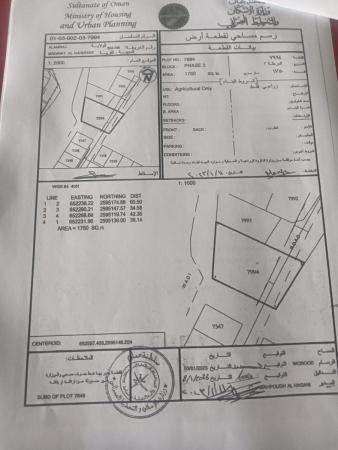 للبيع ارض زراعية ممتازة في العامرات الجفينة