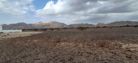 للبيع ارضين سكنيات في العامرات الحشية الثانية