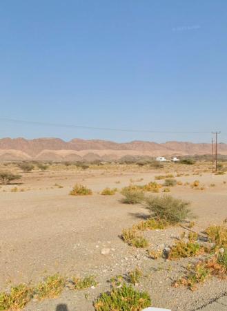 العامرات جحلوت