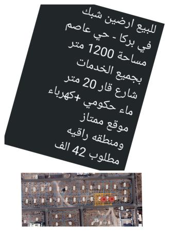 ارضين شبك للبيع في حي عاصم ولاية بركاء