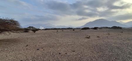 للبيع ارض سكنية في مدينة النهضة مربع 16