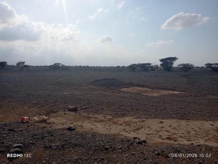 للبيع ارض سكنية في الفليج المعمورة سوبر كورنر